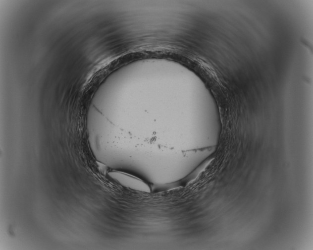 X0000096490920200802211234