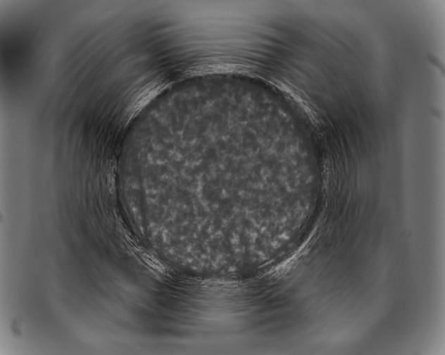 X0000096490921200802211234