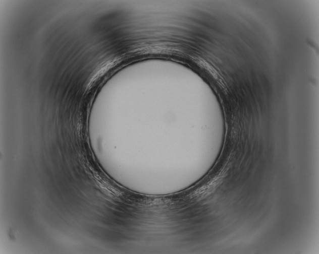 X0000096490922200802211234