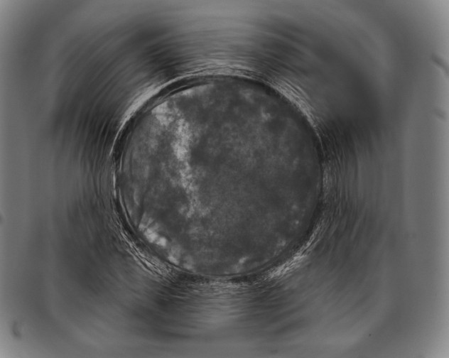 X0000096490925200802211234