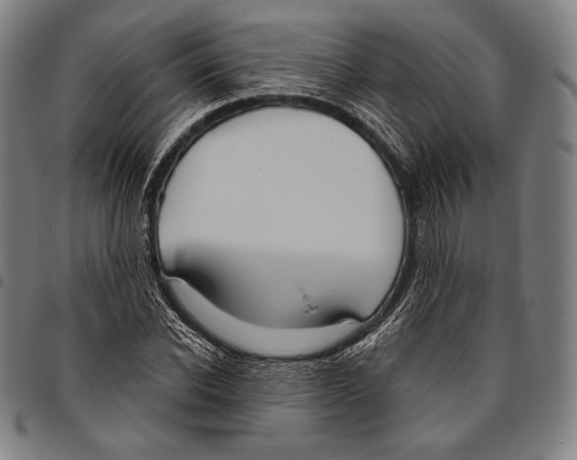 X0000096490926200802211234