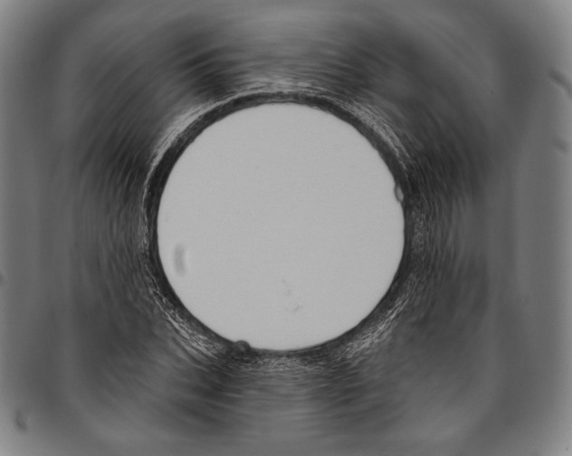 X0000096490927200802211234