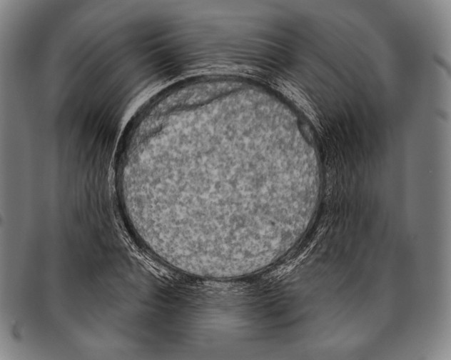 X0000096490928200802211234