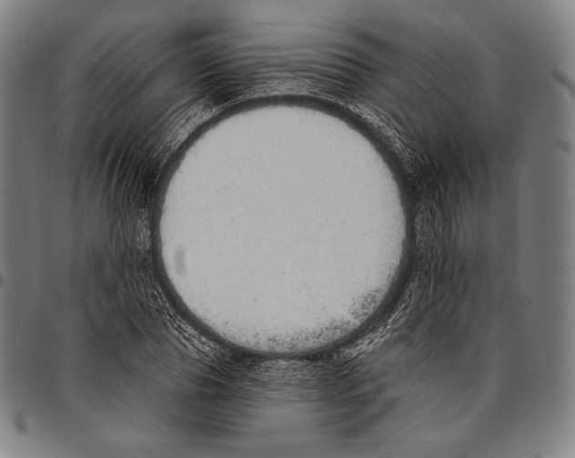 X0000096490929200802211234