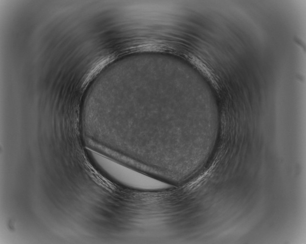 X0000096490930200802211234