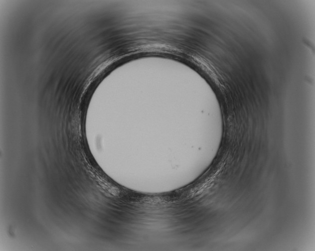 X0000096490931200802211234