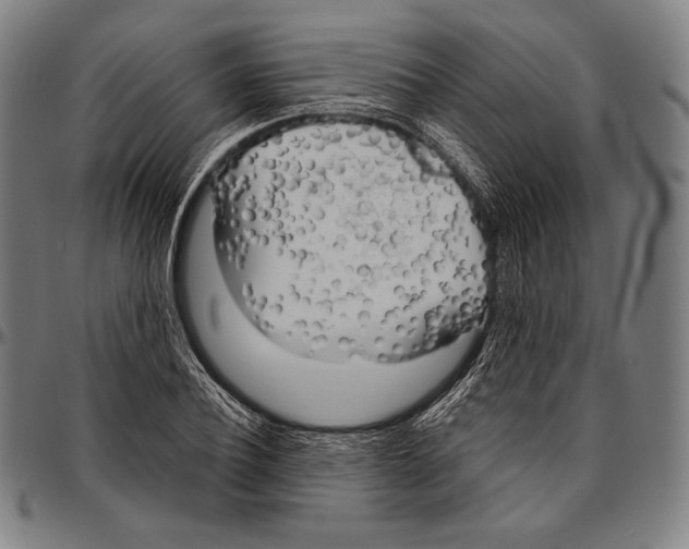 X0000096490932200802211234