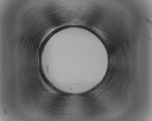 X0000096490934200802211234