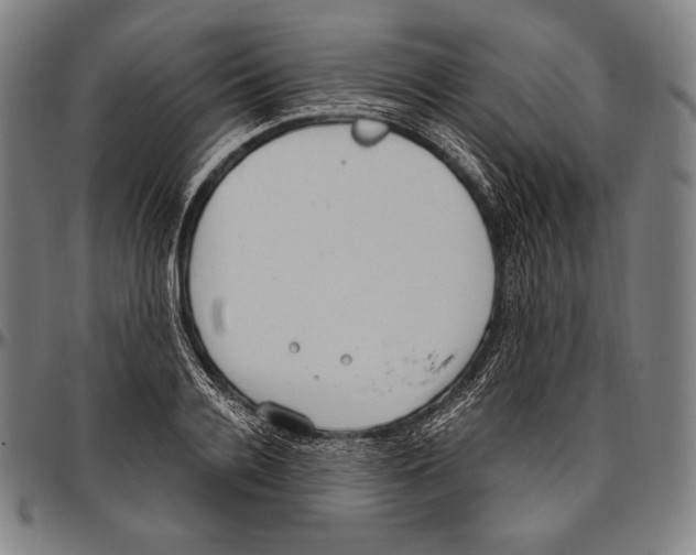 X0000096490936200802211234