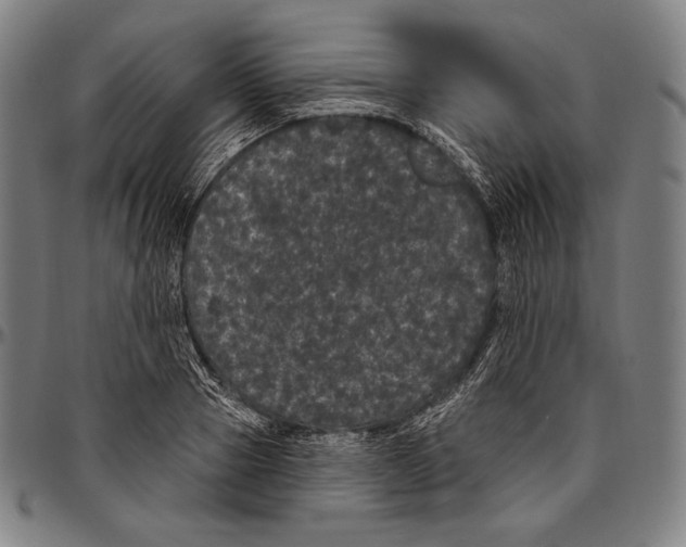 X0000096490937200802211234