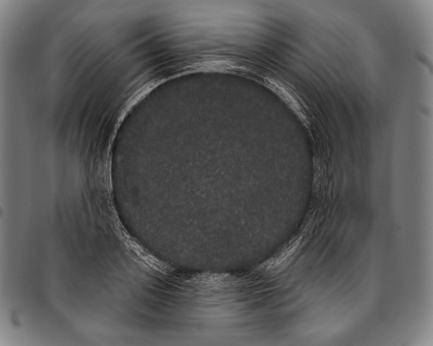 X0000096490939200802211234