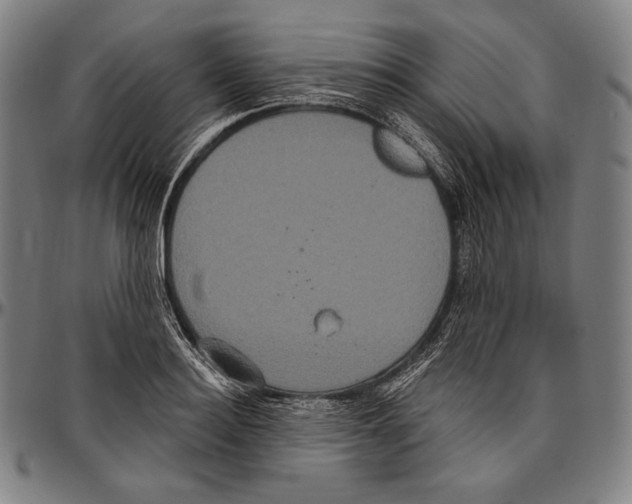 X0000096490940200802211234