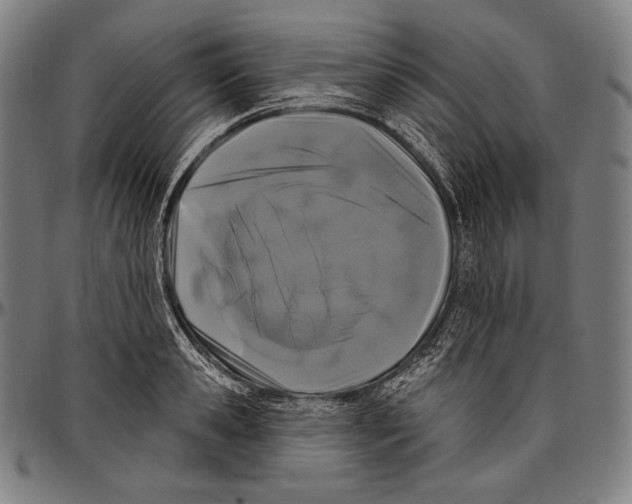 X0000096490941200802211234