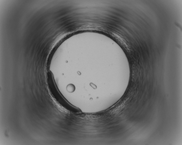 X0000096490942200802211234