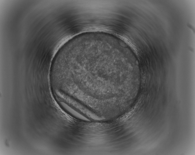 X0000096490943200802211234