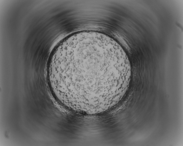 X0000096490944200802211234