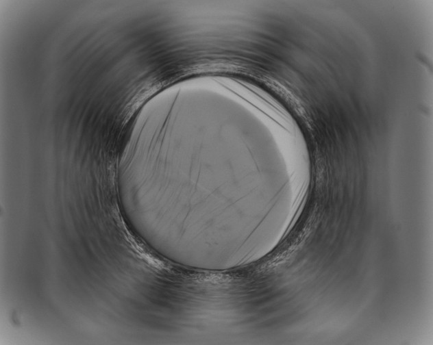 X0000096490945200802211234