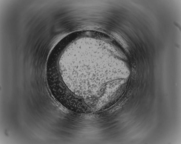 X0000096490948200802211234