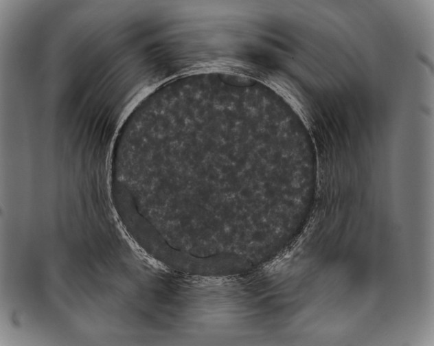 X0000096490949200802211234