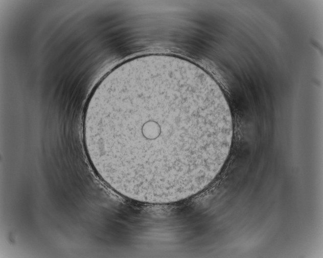 X0000096490950200802211234