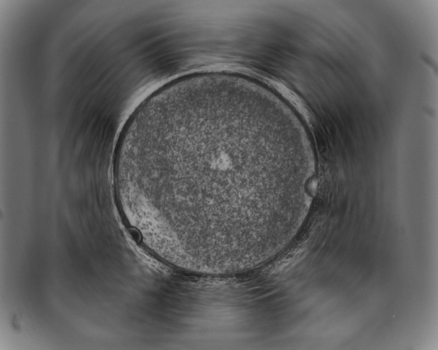 X0000096490951200802211234