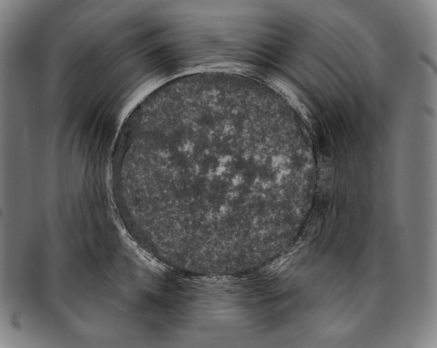 X0000096490952200802211234