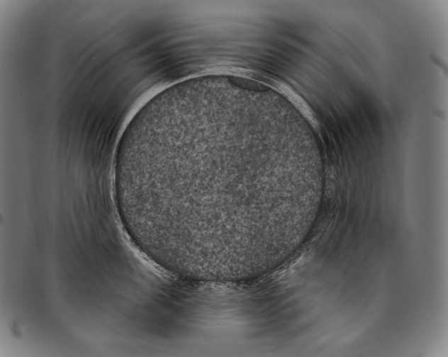 X0000096490955200802211234