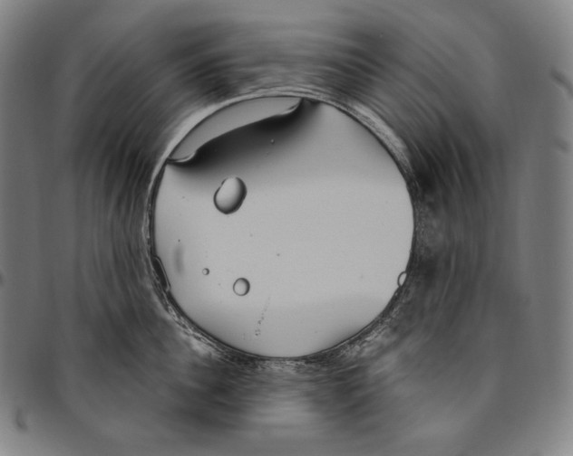 X0000096490956200802211234