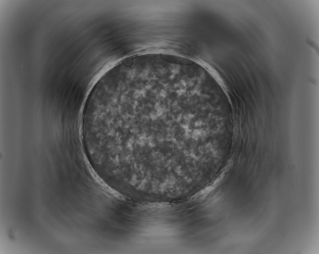 X0000096490957200802211234