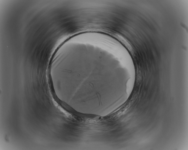 X0000096490958200802211234