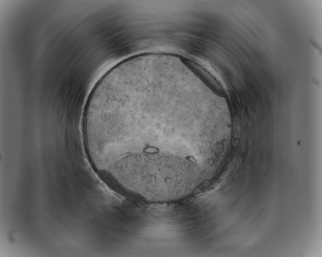 X0000096490959200802211234