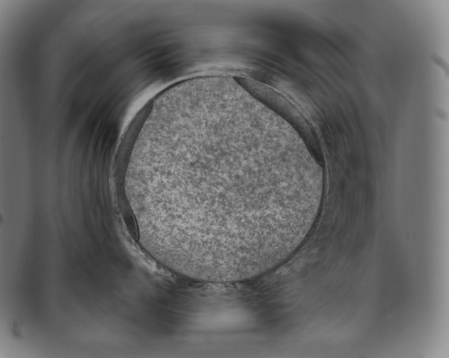 X0000096490960200802211234