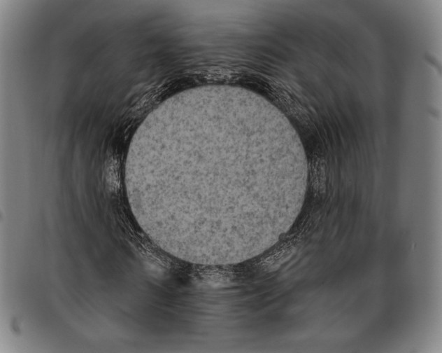 X0000096490962200802211234