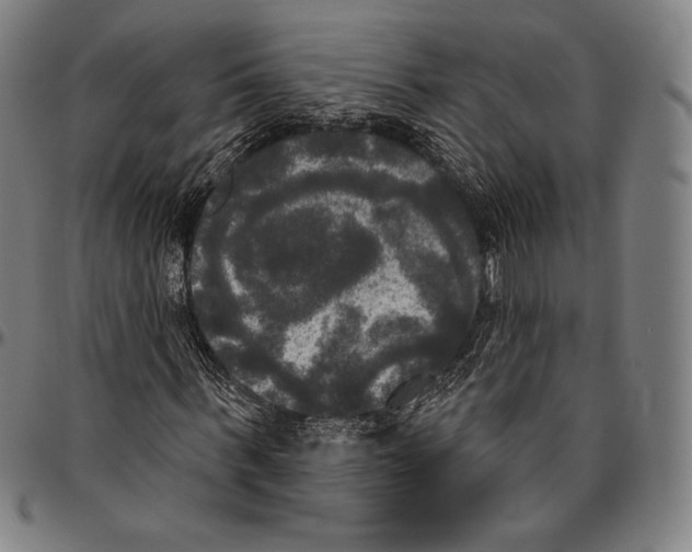 X0000096490963200802211234