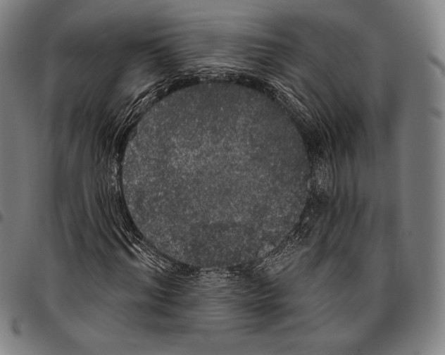 X0000096490964200802211234