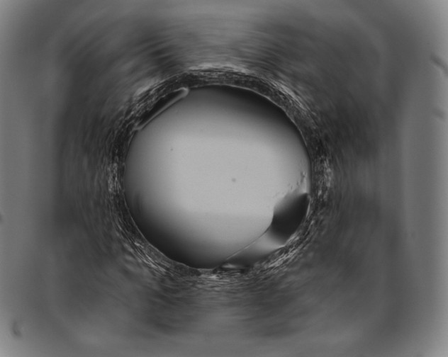 X0000096490965200802211234