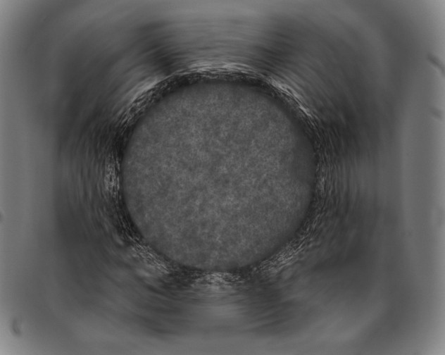 X0000096490966200802211234