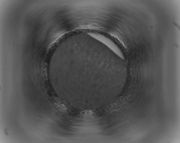 X0000096490968200802211234