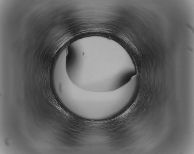 X0000096490969200802211234