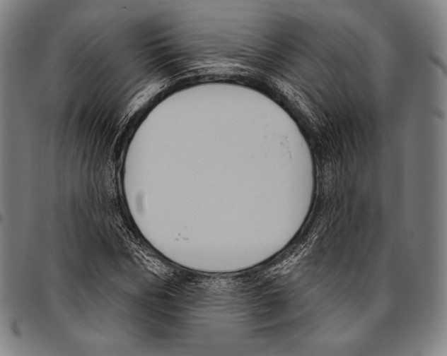 X0000096490970200802211234