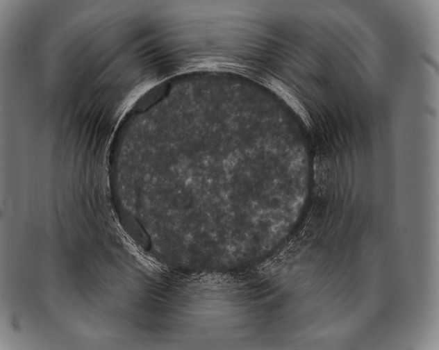 X0000096490972200802211234