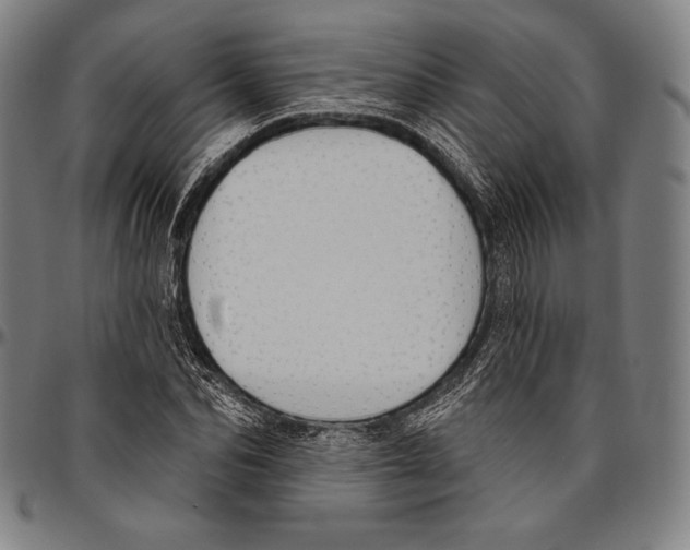 X0000096490974200802211234