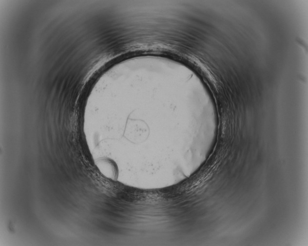 X0000096490975200802211234