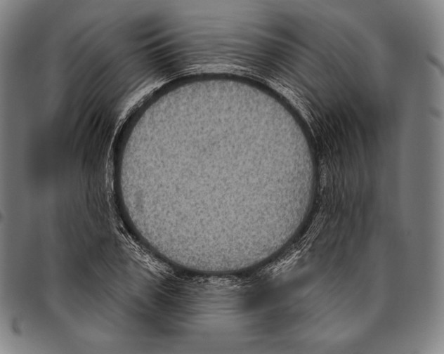 X0000096490979200802211233