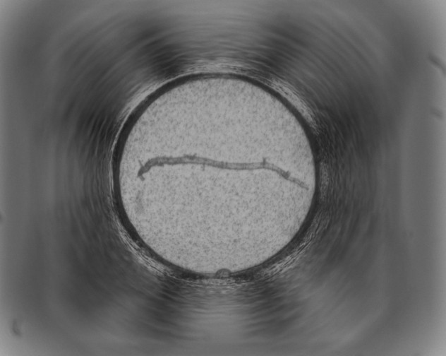 X0000096490980200802211233