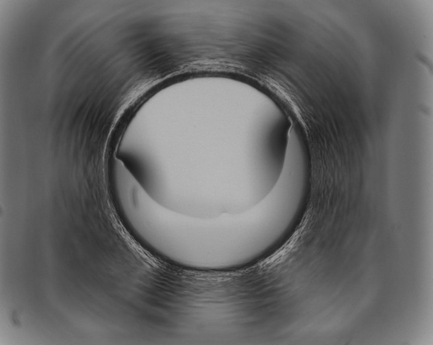 X0000096490981200802211233