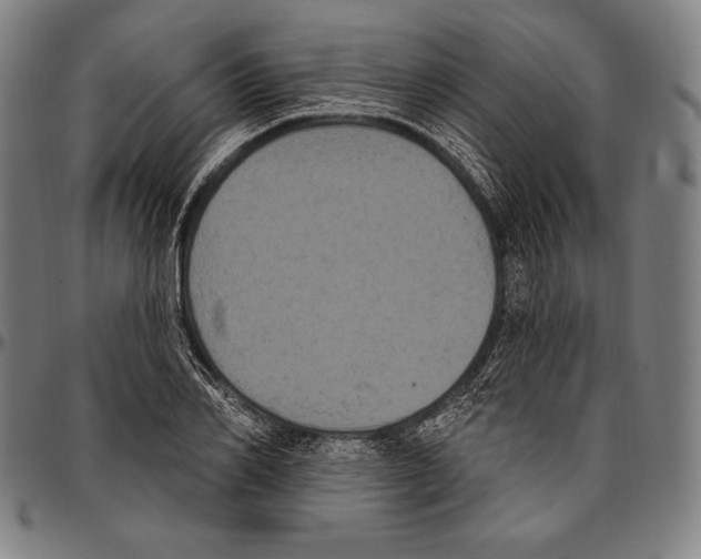 X0000096490982200802211233