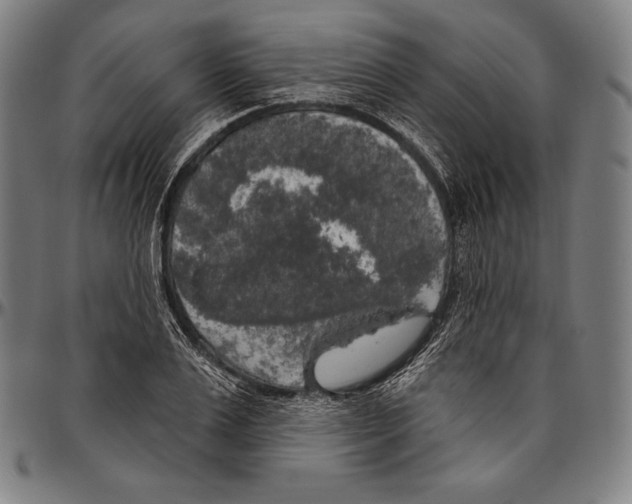 X0000096490983200802211233