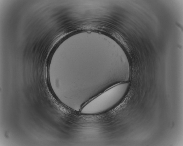 X0000096490984200802211233