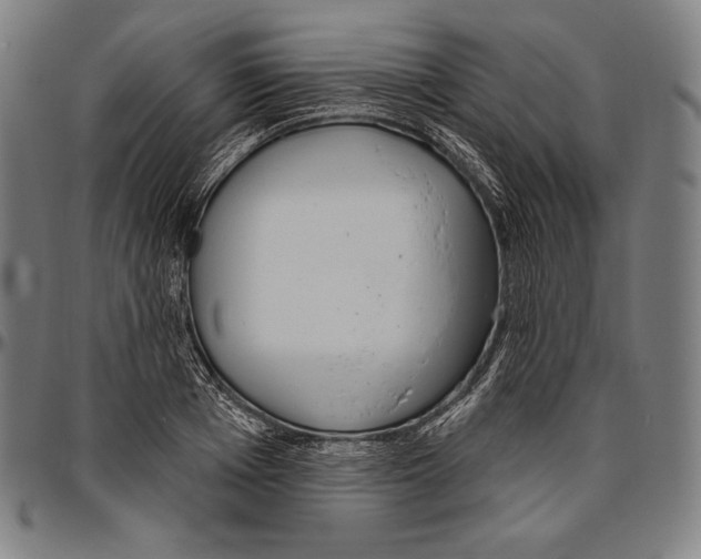 X0000096490985200802211233